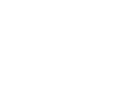 Logo swanlogix final curvas-05