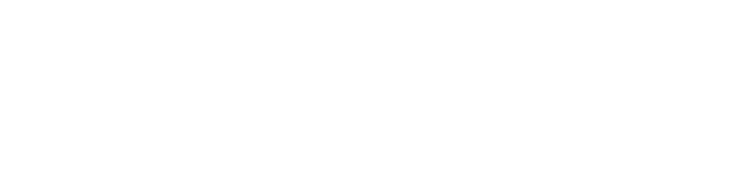 Logo swanlogix final curvas-06